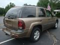 Sandalwood Metallic - TrailBlazer LS 4x4 Photo No. 6