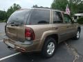 2003 Sandalwood Metallic Chevrolet TrailBlazer LS 4x4  photo #6