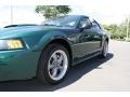 2001 Dark Highland Green Ford Mustang GT Coupe  photo #29
