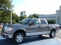 2010 Sterling Grey Metallic Ford F150 XLT SuperCrew 4x4  photo #1