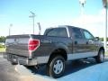 2010 Sterling Grey Metallic Ford F150 XLT SuperCrew 4x4  photo #3