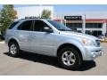 2004 Diamond Silver Metallic Kia Sorento LX  photo #1