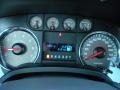 2010 Sterling Grey Metallic Ford F150 XLT SuperCrew 4x4  photo #8