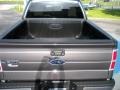 2010 Sterling Grey Metallic Ford F150 XLT SuperCrew 4x4  photo #10