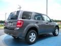 2010 Sterling Grey Metallic Ford Escape XLS  photo #3