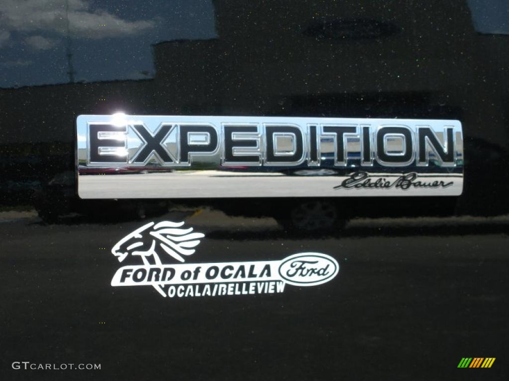 2010 Expedition Eddie Bauer 4x4 - Tuxedo Black / Charcoal Black/Camel photo #4