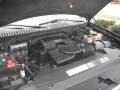 2003 Black Clearcoat Ford Expedition Eddie Bauer 4x4  photo #16