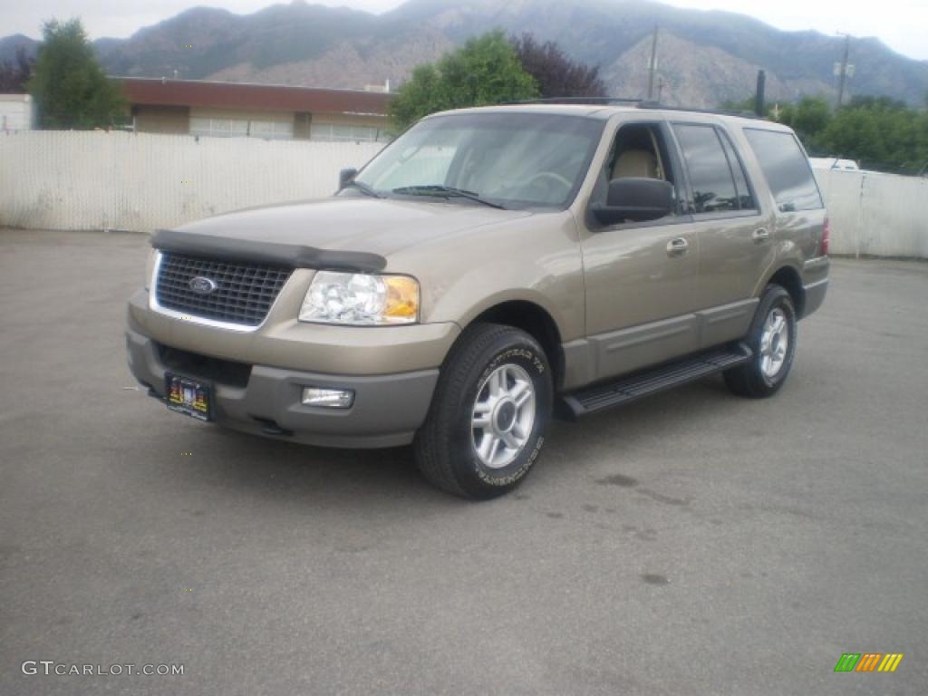 2003 Expedition XLT 4x4 - Arizona Beige Metallic / Medium Parchment photo #2