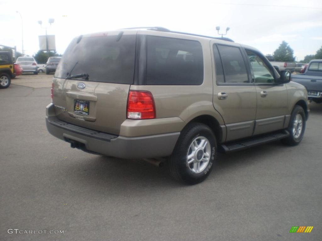 2003 Expedition XLT 4x4 - Arizona Beige Metallic / Medium Parchment photo #5