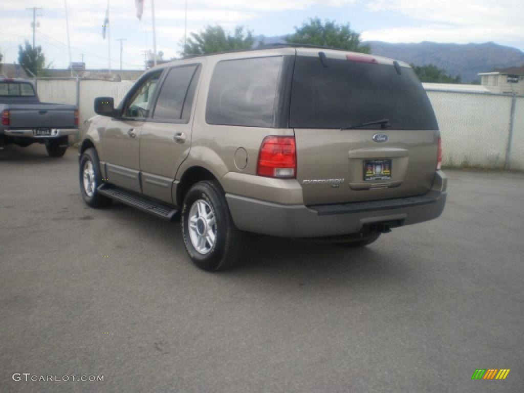2003 Expedition XLT 4x4 - Arizona Beige Metallic / Medium Parchment photo #6