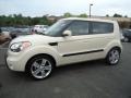 2010 Dune Beige Kia Soul !  photo #2