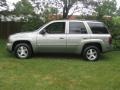 Silverstone Metallic - TrailBlazer LS 4x4 Photo No. 2