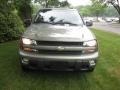 Silverstone Metallic - TrailBlazer LS 4x4 Photo No. 3