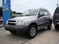 Silverleaf Metallic - Tracker 4WD Hard Top Photo No. 4