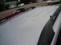 Silverleaf Metallic - Tracker 4WD Hard Top Photo No. 33