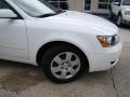 Powder White Pearl - Sonata GLS Photo No. 30