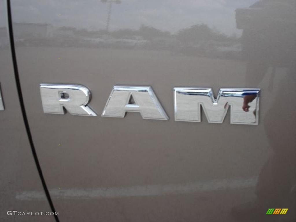 2010 Ram 1500 Big Horn Quad Cab - Austin Tan Pearl / Dark Slate/Medium Graystone photo #17