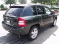 2010 Natural Green Pearl Jeep Compass Sport  photo #3
