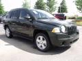 2010 Natural Green Pearl Jeep Compass Sport  photo #4