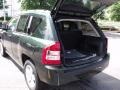 2010 Natural Green Pearl Jeep Compass Sport  photo #8