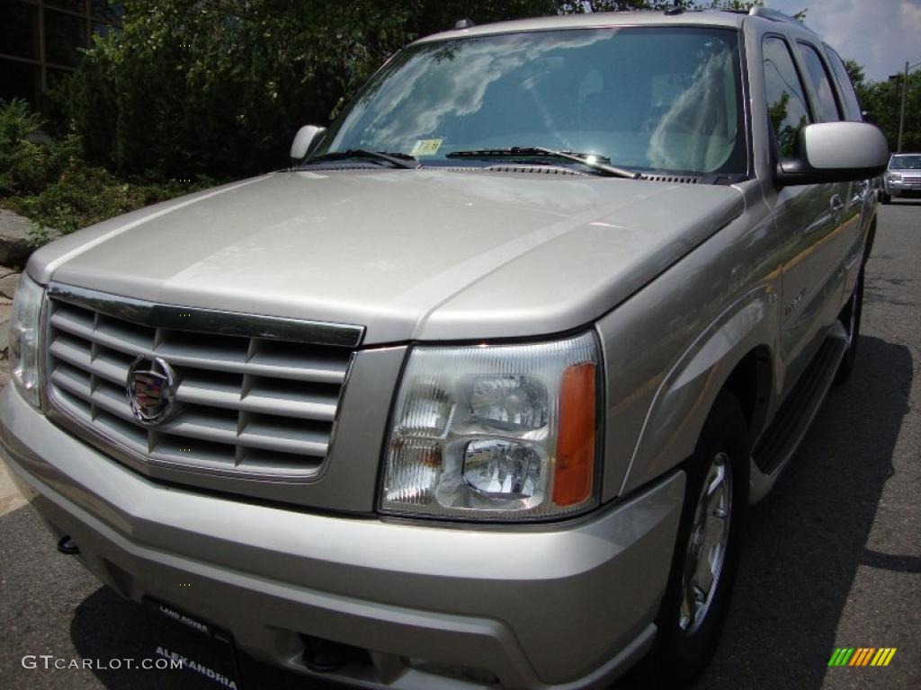 2004 Escalade AWD - Quicksilver / Pewter Gray photo #1