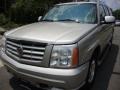 Quicksilver - Escalade AWD Photo No. 1