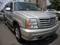 Quicksilver - Escalade AWD Photo No. 11
