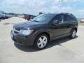 2010 Brilliant Black Crystal Pearl Dodge Journey SXT AWD  photo #23