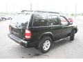 2003 Super Black Nissan Pathfinder SE 4x4  photo #5