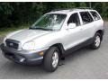 2003 Pewter Hyundai Santa Fe I4  photo #1