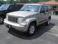 2010 Light Graystone Pearl Jeep Liberty Sport 4x4  photo #1