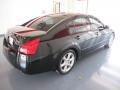 Onyx Black - Maxima 3.5 SE Photo No. 6
