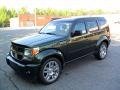 2010 Natural Green Pearl Dodge Nitro SE  photo #1