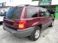 Sienna Pearl - Grand Cherokee Laredo Photo No. 5