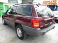 Sienna Pearl - Grand Cherokee Laredo Photo No. 7