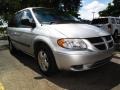 Bright Silver Metallic - Caravan SXT Photo No. 1