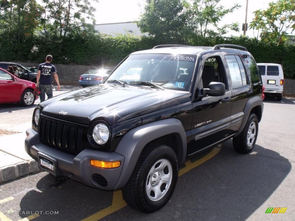 2002 Liberty Sport 4x4 - Black / Dark Slate Gray photo #1