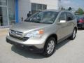 2007 Borrego Beige Metallic Honda CR-V EX-L 4WD  photo #2