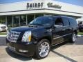 2010 Black Raven Cadillac Escalade ESV Platinum AWD  photo #1