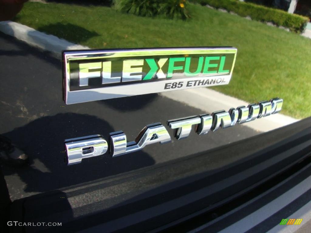2010 Escalade ESV Platinum AWD - Black Raven / Cocoa/Light Linen photo #19
