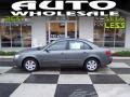 Willow Gray - Sonata GLS Photo No. 1