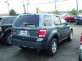 2010 Steel Blue Metallic Ford Escape XLT 4WD  photo #6