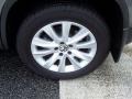 Alpine Grey Metallic - Tiguan S Photo No. 4