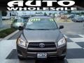 Pyrite Metallic - RAV4 I4 4WD Photo No. 2