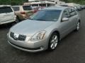 Liquid Silver Metallic - Maxima 3.5 SE Photo No. 3