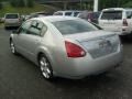 Liquid Silver Metallic - Maxima 3.5 SE Photo No. 5