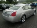 Liquid Silver Metallic - Maxima 3.5 SE Photo No. 7