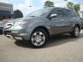 2009 Sterling Gray Metallic Acura MDX Technology  photo #2