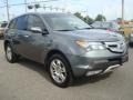 2009 Sterling Gray Metallic Acura MDX Technology  photo #8