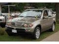 2004 Kalahari Beige Metallic BMW X5 4.4i  photo #2